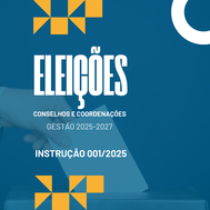 Eleicoes Instrucao 001/2025